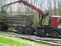 LKW-Ladung Stammholz – Kastanie – 50 Ster