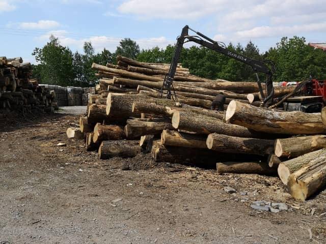 LKW-Ladung extra trockenes Stammholz – Buche, Eiche, Hainbuche – 30 Ster