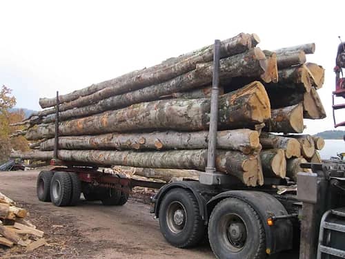 LKW-Ladung Stammholz – Buche, Eiche, Hainbuche – 25 Ster
